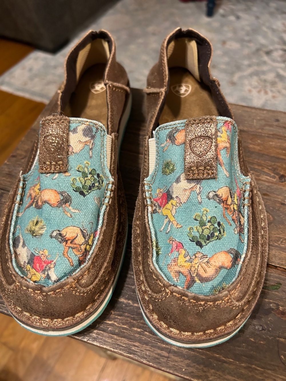 Women’s Copper & Turquoise Western Print Slip Ons